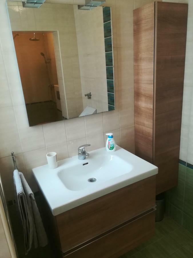 Apartma Zalka イゾラ エクステリア 写真